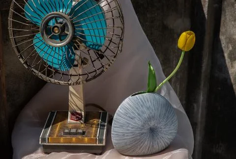 Yellow flower in Blue shell shape ceramic vase and old vintage fan. Stock Photos