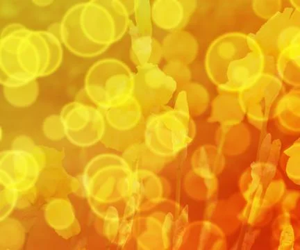Yellow flower bokeh Stock Illustration