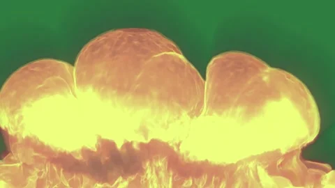 Yellow flower fire in the middle of forest black smoke border close up some l... Stock-Footage 336050242