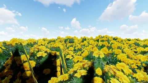 Yellow Flower with Green Leaf 스톡 동영상 340562159