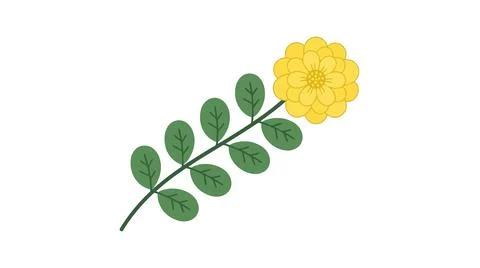 Yellow flower with green leafy stem illustration Stock Illustration