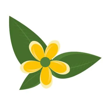 Yellow flower with green tree leaves,vector graphic Illustration