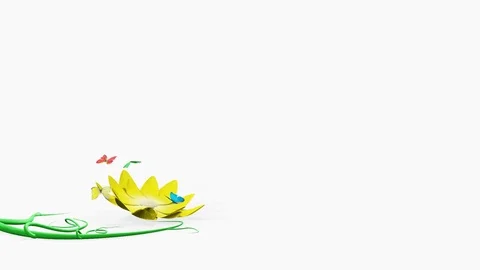 Yellow flower grows, opens and butterflies fly out of it on a white background 库存影片 74577323