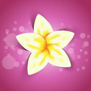 Yellow flower Stock Illustration