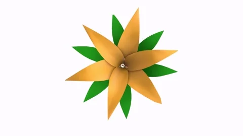 Yellow flower isolated on white background Stock Footage 307308502