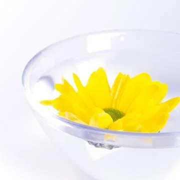 Yellow flower Foto stock