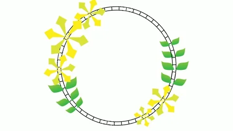 Yellow flower round frame animation Stock Footage 242653100