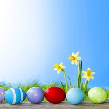 Yellow Flowers and easter eggs Stock Photos