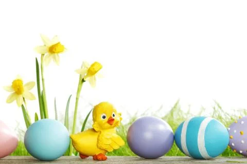 Yellow Flowers and easter eggs Foto stock