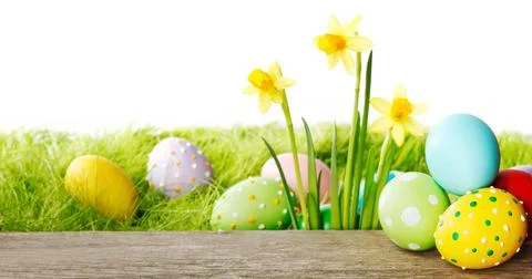 Yellow Flowers and easter eggs Stock Photos