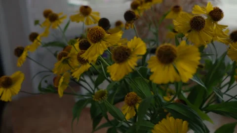 Yellow flowers close-up on the table, on the background of a vintage window Stock Footage 166175128