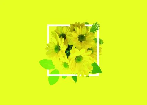 Yellow flowers frame Stock Illustration