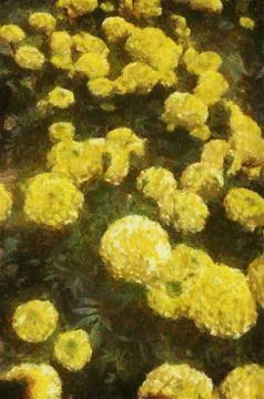 Yellow flowers Stock Illustration