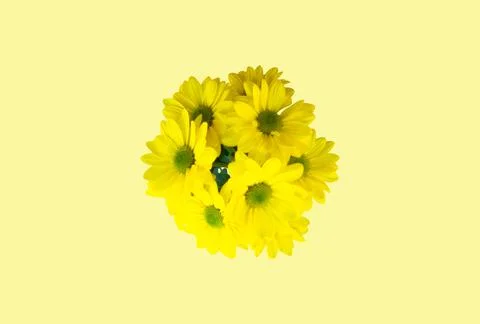 YELLOW FLOWERS Stock Illustration