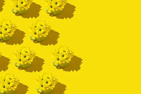 Yellow flowers pattern on the yellow background Stock Photos