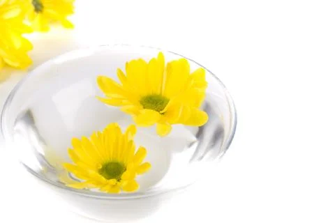Yellow flowers Stock Photos