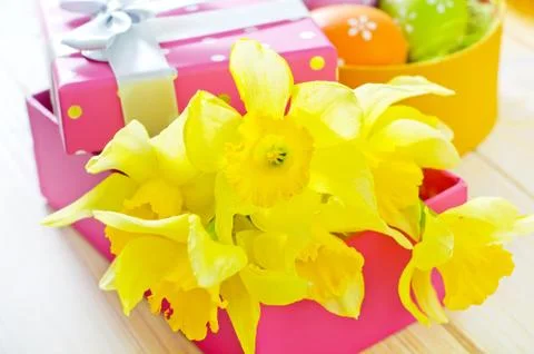 Yellow flowers Stock Photos
