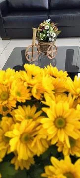 Yellow flowers Foto stock