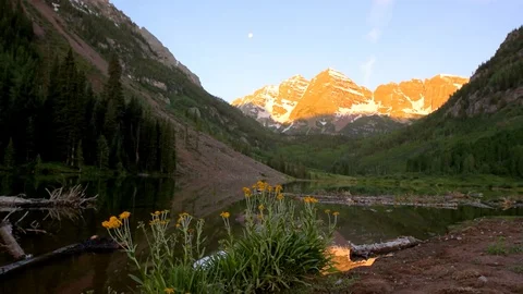 Yellow flowers at sunrise seamless loop Maroon Bells lake in Aspen, Colorado Stock Footage 130073259