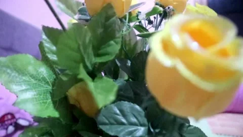 Yellow flowers of table decoration Stock Footage 197829215