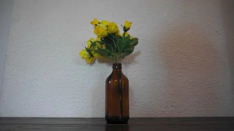 Yellow flowers on a Vase Stock Footage 209117906