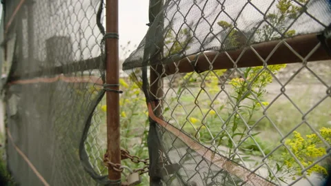 Yellow flowers viewed through rusty fence at construction site 動画素材 134737355