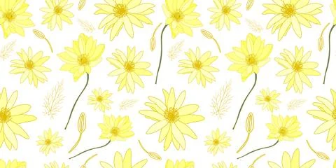 Yellow flowers on a white background pattern. Field summer flowers. Beautiful Illustrazione stock