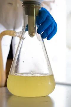 Yellow fluid in a lab flask 스톡 사진