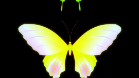 Yellow flying butterfly Stock Footage 94932705