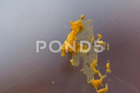 Yellow foam construction on the glass. macro Stock Photos