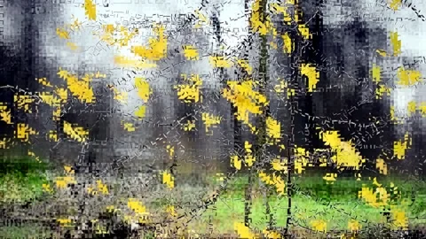 Yellow foliage flutters in the wind Stock-Footage 142711298