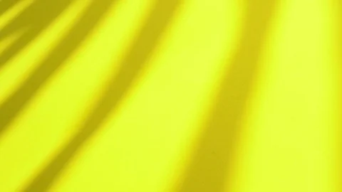 Yellow Stock Footage 109470198