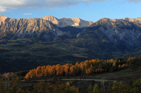 Yellow forest with mountain Stock Photos