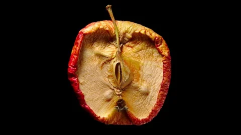 Yellow fresh apple dried out, time lapse shot Stock-Footage 113530337