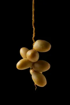 Yellow fresh dates fruit isolate on black background Stock Photos