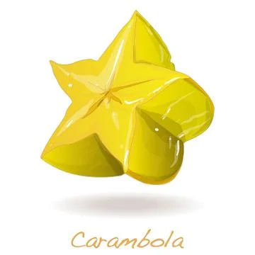 Yellow fruit carambola vector Stock Illustration