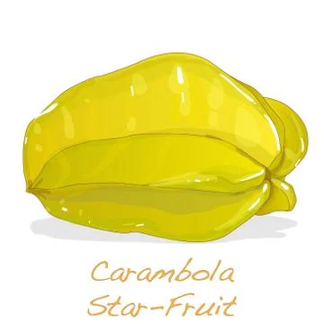 Yellow fruit carambola vector Stock Illustration