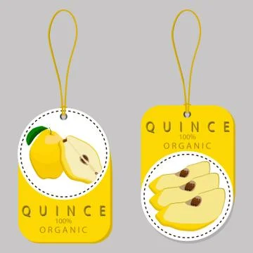 Yellow fruit quince Stock Illustration