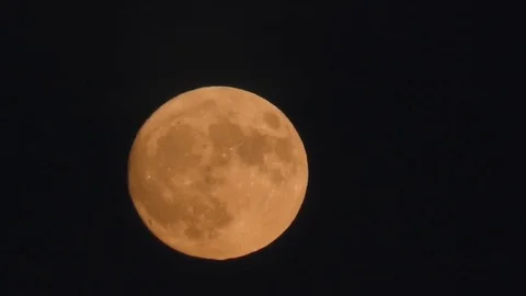 Yellow Full Moon on Black Sky Stock Footage 75430916