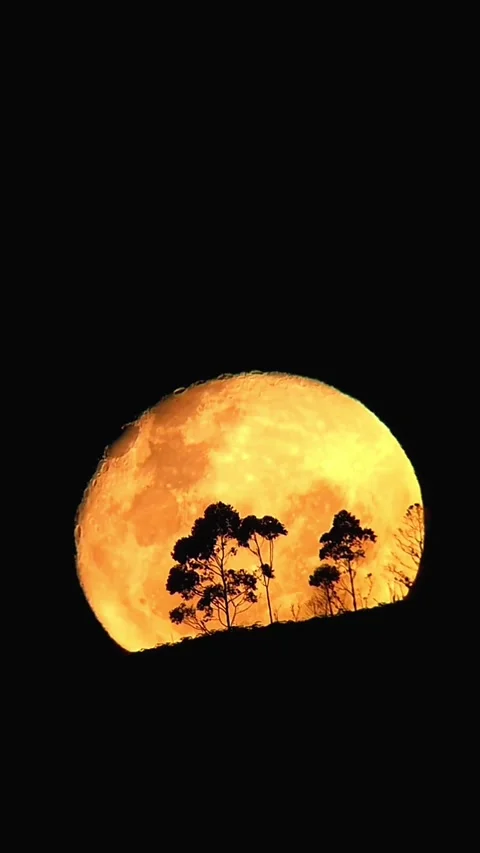Yellow Full or Super Moon Rising at Night Stock Footage 288623362