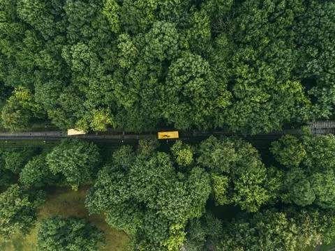 Yellow funicular in the forest Stock Photos