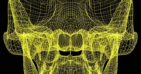 Yellow geometric skull grid Stock Footage 207781819