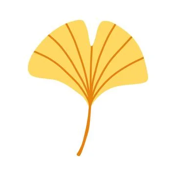 Yellow gingko leaf isolated on white background. Simple autumn fall leaf for Stockillustratie