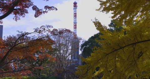 A yellow gingko tree and red maple tree with tower at Hibiya park in Tokyo tilt Stock Footage 303834316