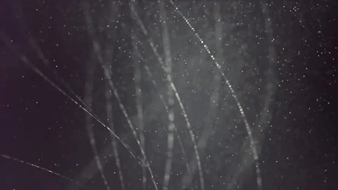 Yellow Glittering Particles Animation Loop 1 Stock Footage 228080262