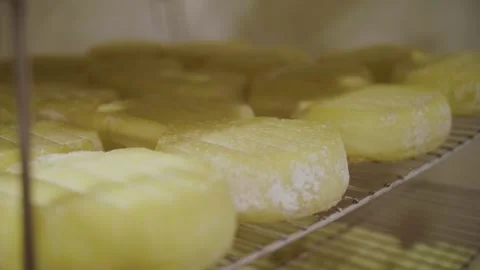 The Yellow Goat Cheese Icing is Drying Out Vídeos de archivo 308148928