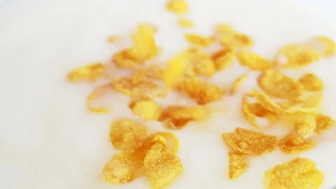 Yellow gold cornflakes cereals falling into milk slow motion Stock Footage 151797258