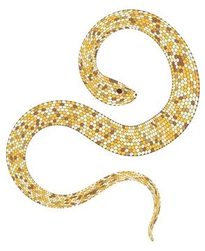 Yellow gold snake イラスト素材