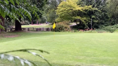 Yellow Golf flag Stock Footage 136561620