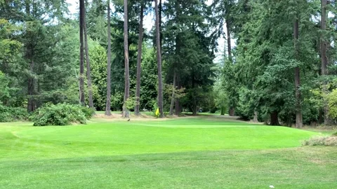 Yellow Golf flag Stock Footage 136561621